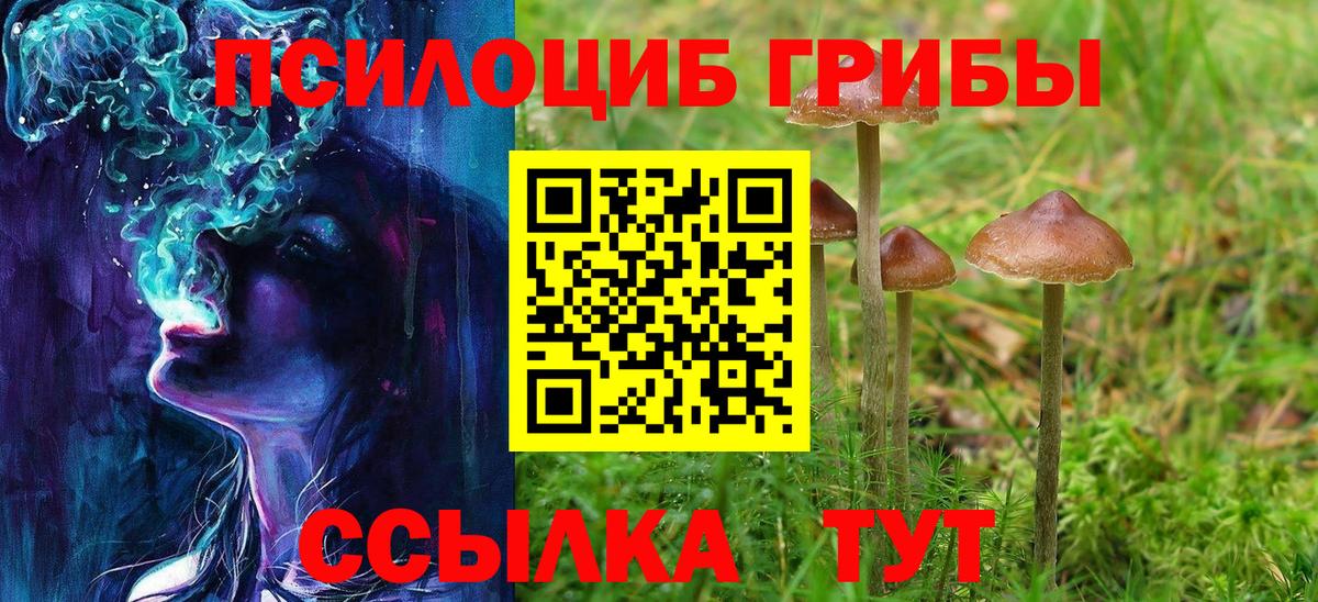 Воронеж  Галлюциногенные грибы Psilocybe  купить наркоту  Вход с VPN 